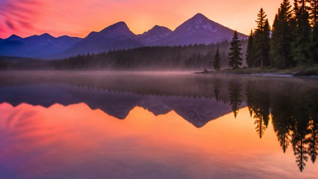 Elegant Minimalism: Serene Backgrounds for Every Device