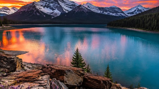 Captivating Landscapes: Nature's Serenity for Your Screens