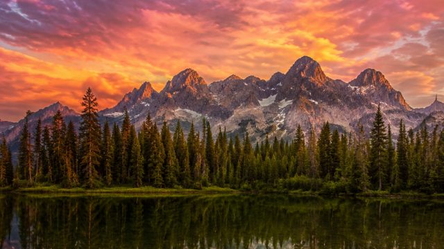 10 Must-Visit Online Galleries for Photography Lovers | siapa queen of kpop 2023, bla88