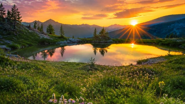 Tranquil Nature: Serene Wallpapers for Your Devices