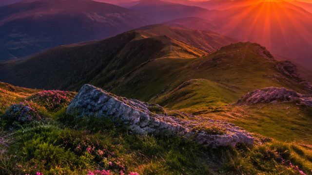 Captivating Digital Landscapes: Elevate Your Screen Aesthetics