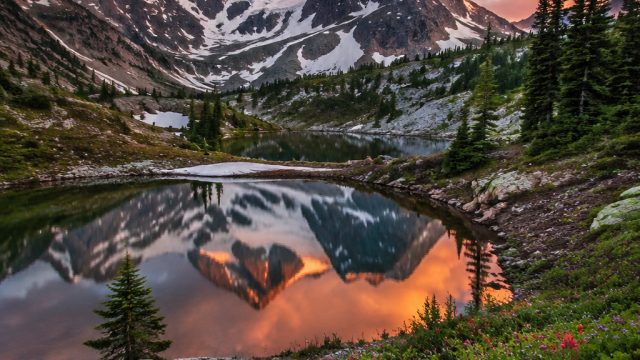 Captivating Nature Wallpapers to Elevate Your Screen Experience