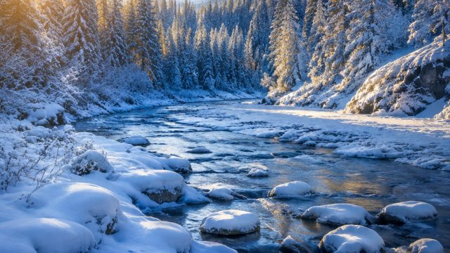 Embrace the Beauty of Winter: Captivating Snowy Landscapes