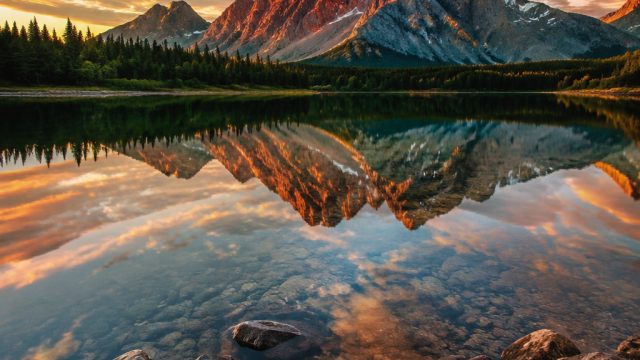 Captivating Nature: Wallpaper Inspirations for Every Screen