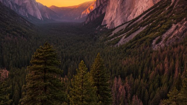 Yosemite's Majestic Landscapes: A Feast for the Eyes