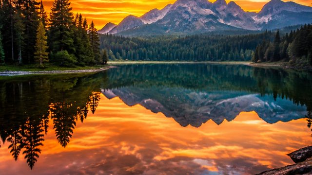 Elevate Your Screen with Timeless Nature Wallpaper Themes
