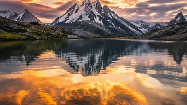 Embrace Nature: Captivating Wallpapers of the Wild