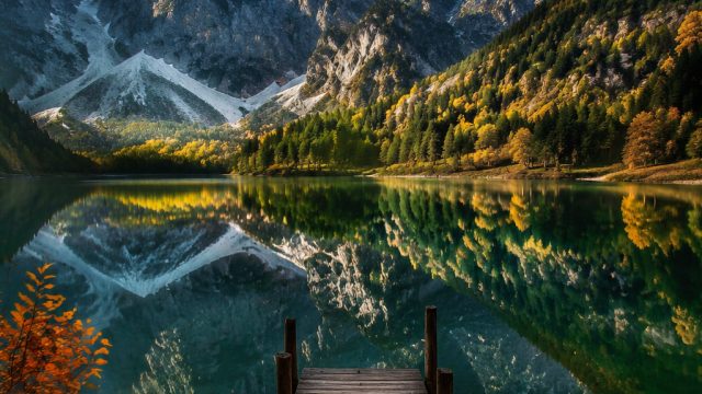 Captivating Landscapes: Nature's Serenity for Your Digital Space | gorilla betting online, mount fif