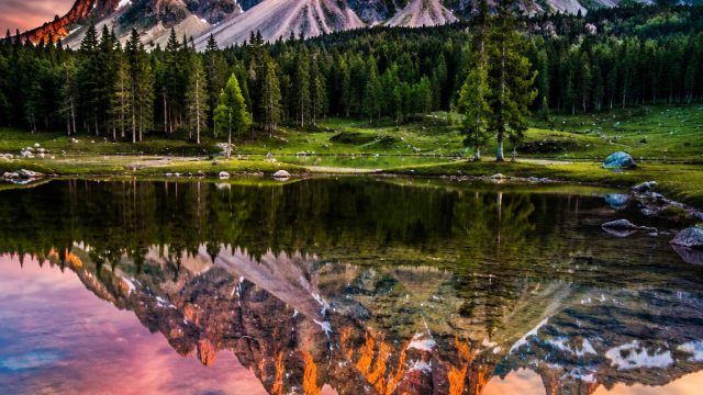 Captivating Wallpaper Themes for Every Device This Season