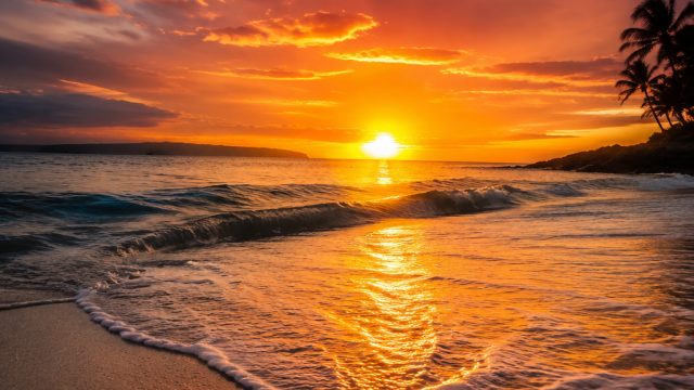 Embrace the Heat: Vibrant Wallpaper Themes for Your Screens
