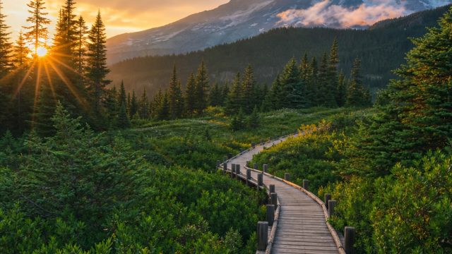 Transform Your Screen with Inspirational Nature Wallpapers