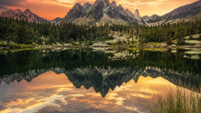 Embrace Serenity: Nature's Beauty in Wallpaper Design