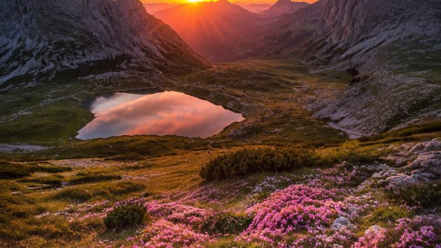 Captivating Imagery: Explore Our Luminous Wallpaper Gallery