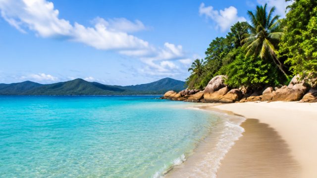 Captivating Coasts: Bright Beach Wallpapers for Your Screen