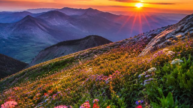 Explore the Serenity of Nature: A Visual Escape for Your Screens