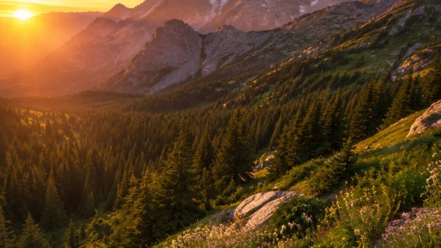 Discover the Serenity of Nature with Stunning Wallpaper Themes