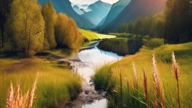 Nature's Canvas: Captivating Photography for Your Screens