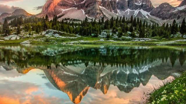 Captivating Dreams: Stunning Wallpaper Ideas for Your Devices | tarung89, sportpesa prediction today