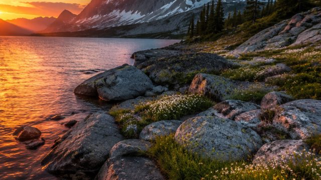 Elevate Your Screens with Stunning Photography Wallpaper Themes