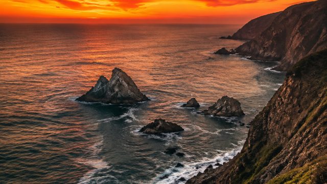 Captivating Nature: Elevate Your Space with Stunning Wallpapers