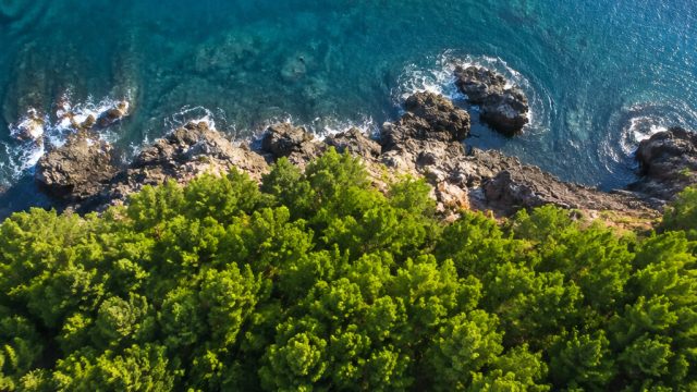 The Rise of Drone Photography: Capturing Perspectives from Above | roti fortune, hasil keluaran sing