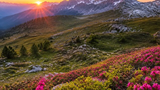 Captivating Nature Scenes for Your Digital Backgrounds | delta 88 slot, ada tokek di rumah artinya a