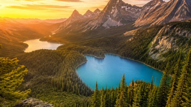 Captivating Visuals: Embrace the Allure of Nature's Palette