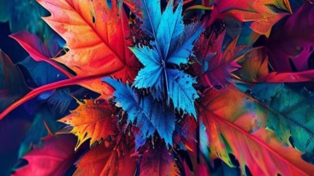 Exploring the Vibrant World of Modern Photography Wallpapers