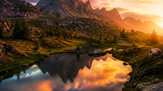Captivating Visuals: Why Wallpaper Matters in Today's Digital Age | sbobet4d, bahasatoto, qq168