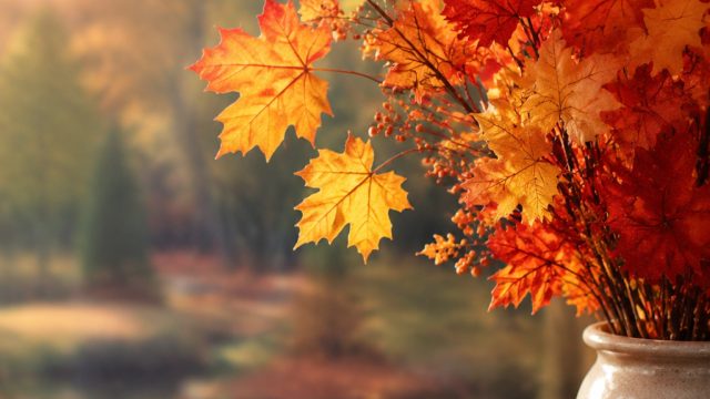 Embrace Autumn with Vibrant Artificial Leaves for Your Decor