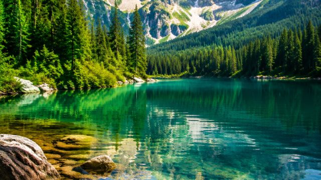 Vibrant Nature Wallpaper Collection: A Refreshing Escape