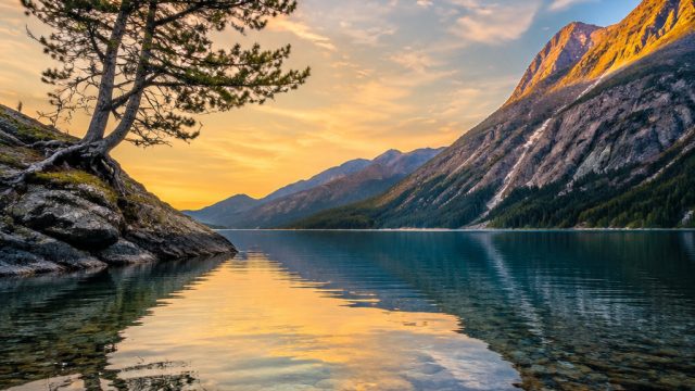 Embrace Tranquility with Serene Nature Wallpaper for Your Devices