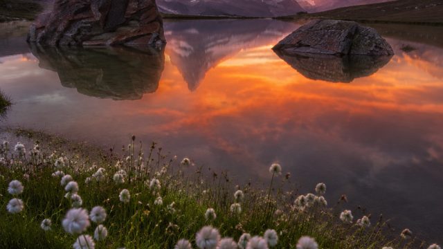 Exploring the Art of Photography: A Journey Through Visual Design