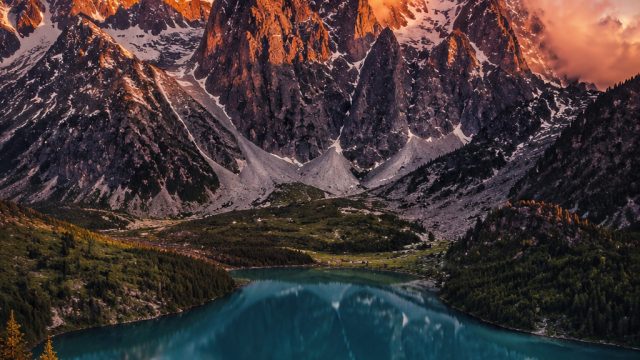 Designing with Photography: How to Choose the Right Images for Your Space