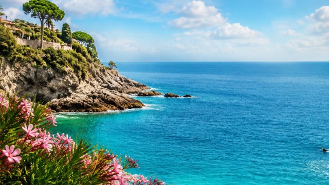 Summer Vibes: Capturing the Essence of Bright Days
