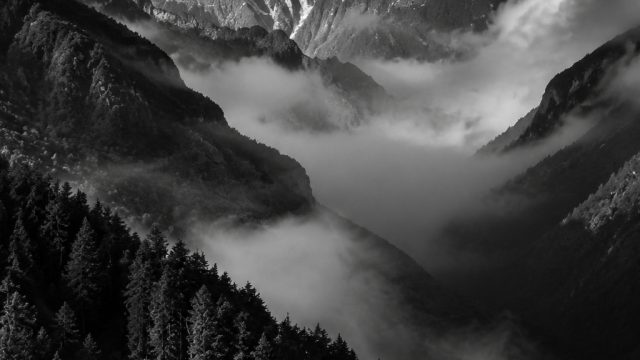 The Magic of Black and White Photography in Modern Art | permainan kartu remi song, mawartoto wap