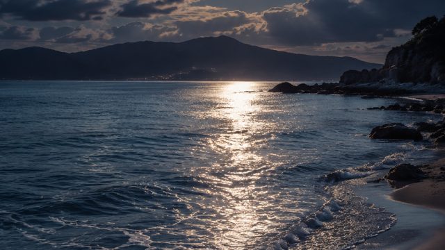 Captivating Visuals: Embrace the Enchantment of Moonlit Beauty
