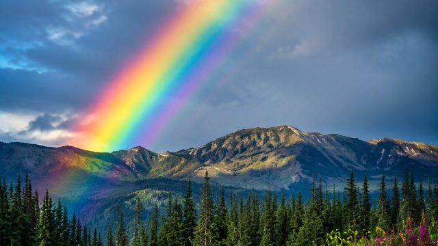 Celebrate Diversity with Vibrant Rainbow Wallpapers | fifa 12 download pc, rtp live ajaib88, poker a