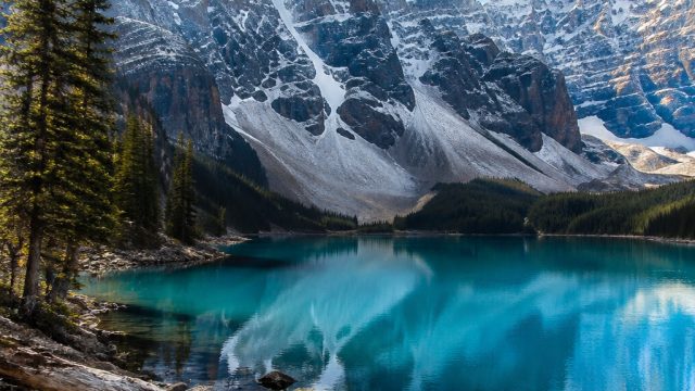 Exploring the Allure of Contemporary Visual Themes
