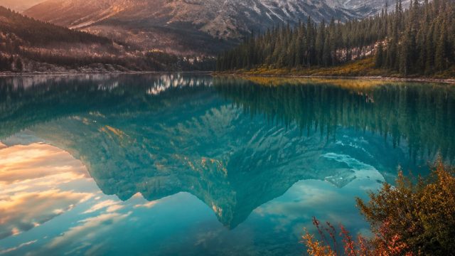 Top 10 Photography Styles for Contemporary Wallpaper Design