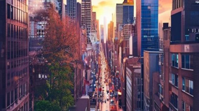 Vibrant Cityscapes: Capturing Urban Life in Stunning Detail | kode syair sdy 07 juli 2022, www toto8