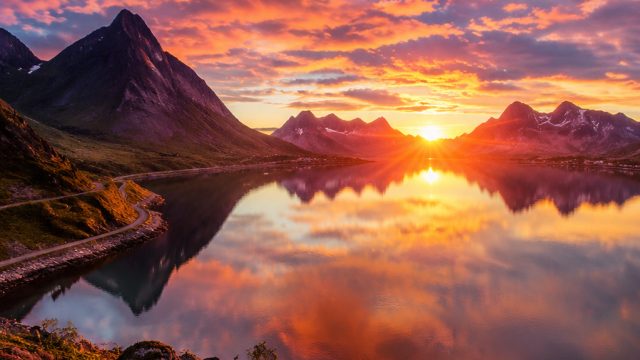 Captivating Visual Themes for Your Phone and Desktop Backgrounds