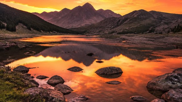 Captivating Nature Wallpapers for Every Device