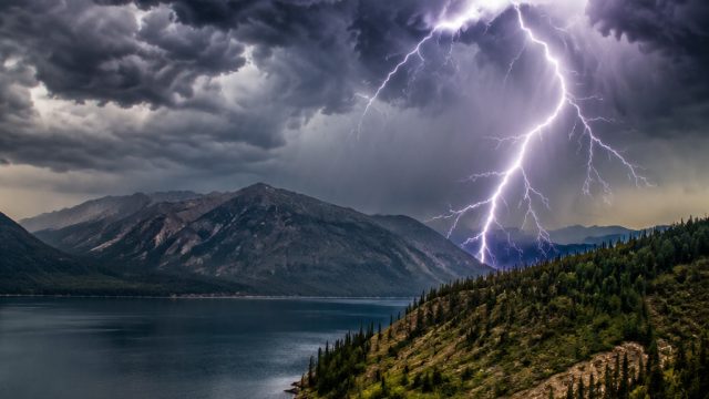 Embrace the Storm: Nature's Electrifying Beauty Captured