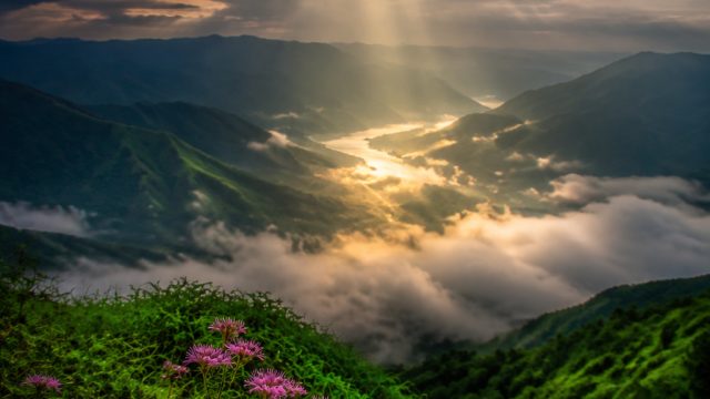 Captivating Monsoon Escapes: A Visual Journey Through Nature's Beauty