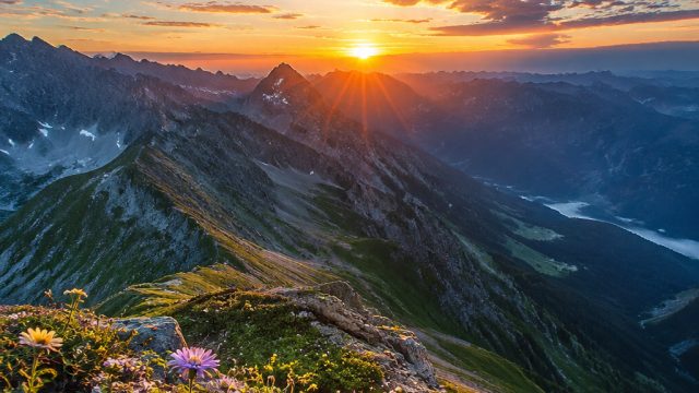 Captivating Nature: Vibrant Wallpapers for Every Screen | klik mejaqq, no deposit bonus online casin