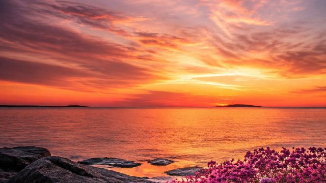 Serene Breezes: Captivating Wallpaper for Every Screen