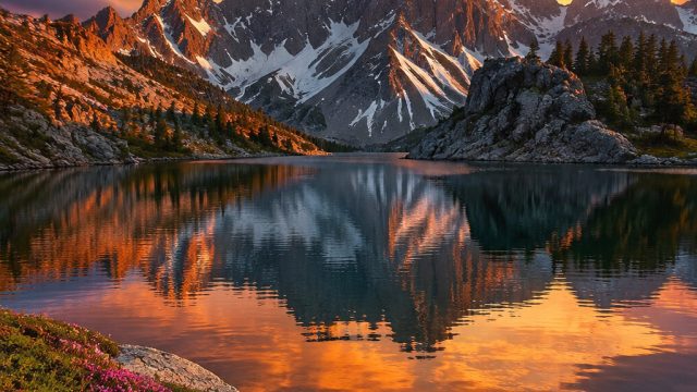 Elevate Your Screen with Stunning Nature Wallpapers