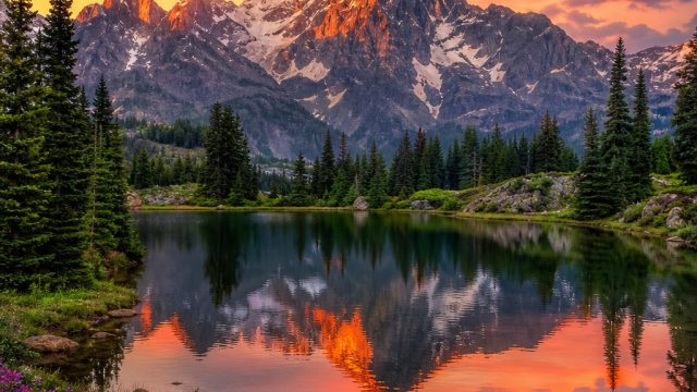 Captivating Digital Landscapes: Transform Your Screen Today