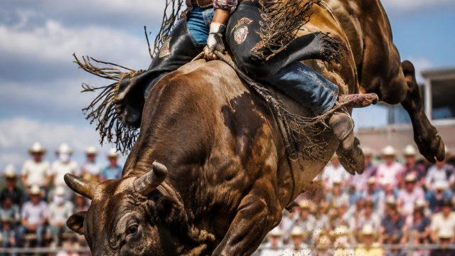 Vibrant Rodeo Spirit: Capturing the Energy of Champions